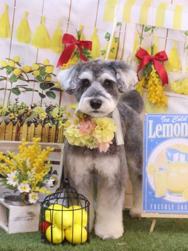 20240418ビッケくん